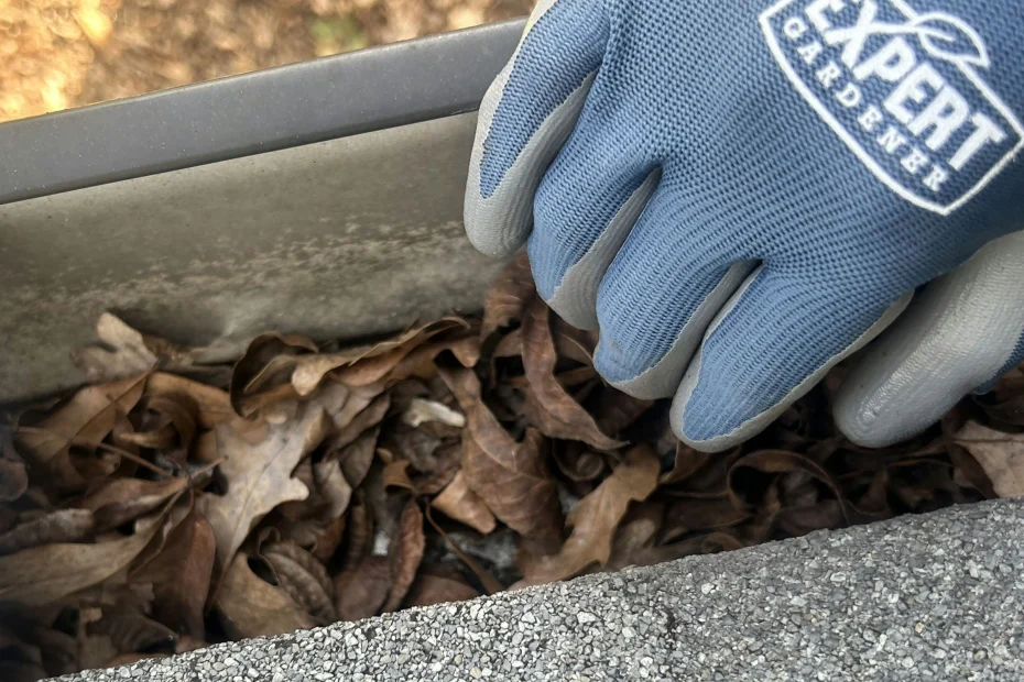 Gutter Cleaning Nicholasville