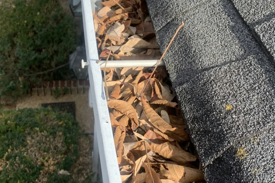 Gutter Cleaning Nicholasville