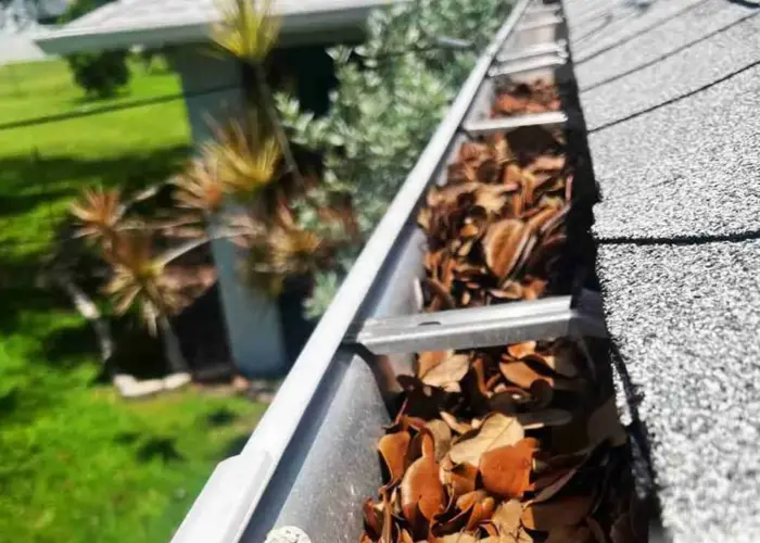 Gutter Cleaning Nicholasville home page